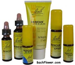 Bach Flower Remedies To T