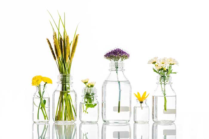 six clear glass bottles filled with water and flowers
