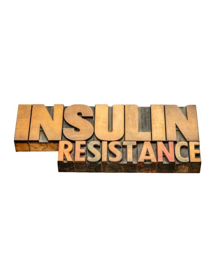 Insulin-Resistance insulin resistance